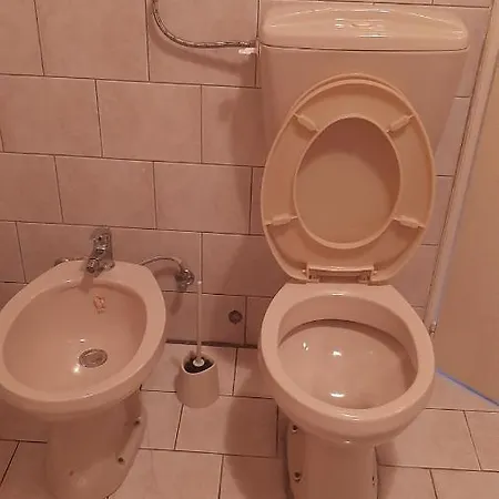 Vesna * Novi Sad