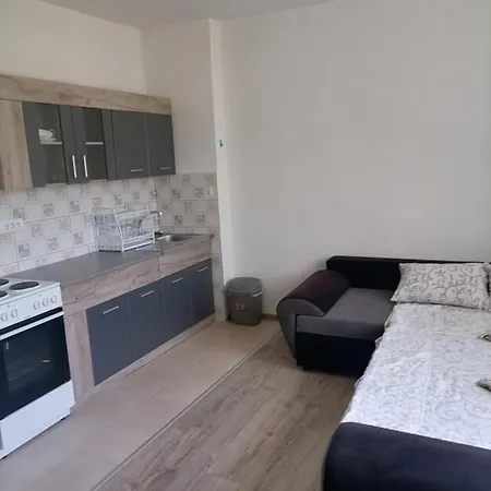 Vesna Novi Sad